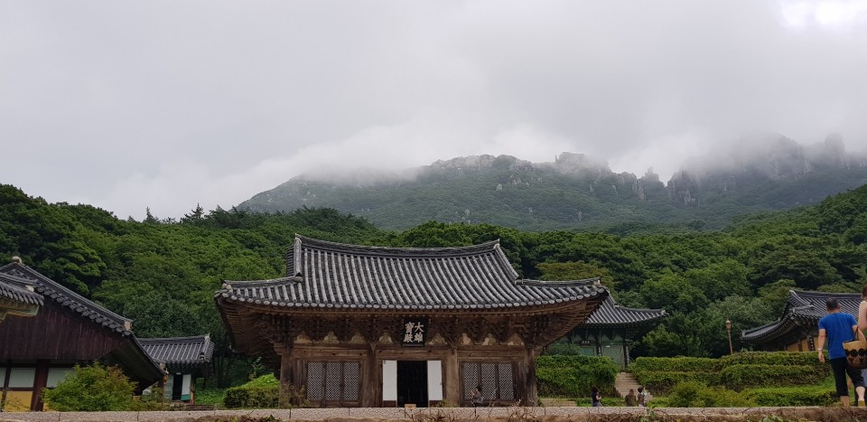 해남 미황사에 다녀왔습니다.