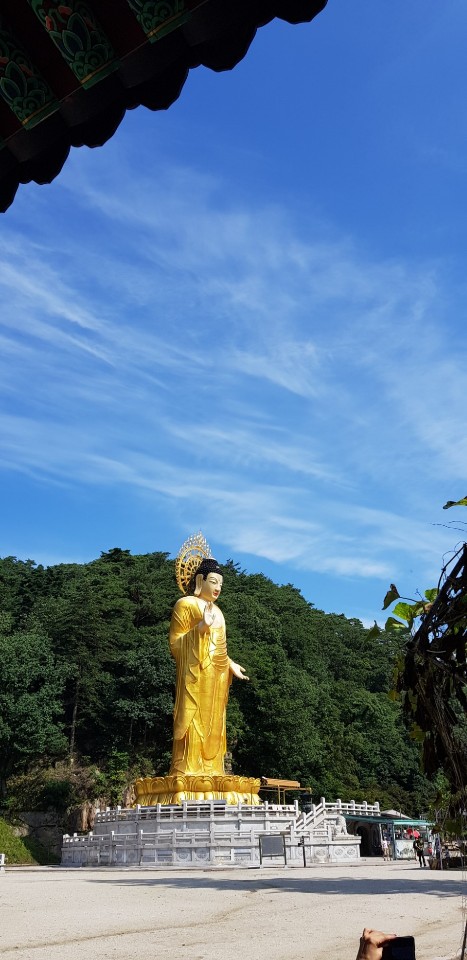 KakaoTalk_20190826_154026988.jpg